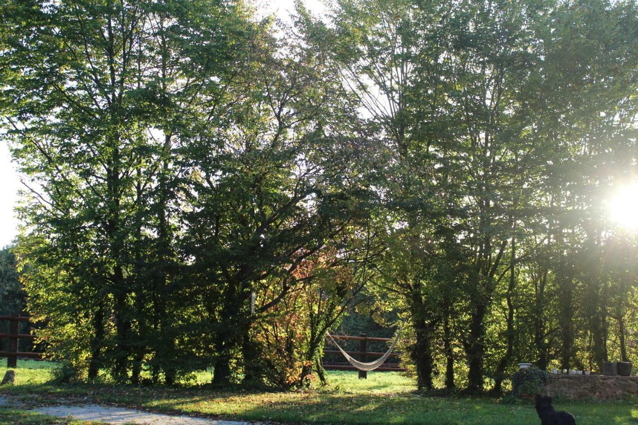 Villa L'Epine à Saint-Remy-du-Val Extérieur photo